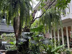 -Fern Forest Cafe