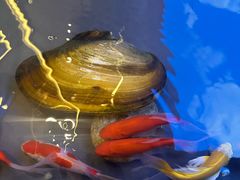 -徽韵人家·传承正宗徽菜(牡丹园店)
