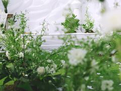 -广州香格里拉酒店
