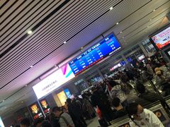 -深圳坪山站