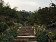 景点-竹子庵公园