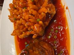 -万荣烤鸭店·北京菜(农光里店)