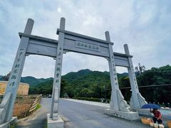 -龙坞茶村