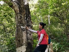 -白草畔自然风景区