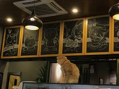 -咖法森林·咖啡  酒吧(天河店)