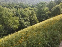 -西湖风景区-江洋畈生态公园