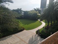 -彩丰楼中餐厅·早茶·点心·粤菜(海口华彩洲际酒店)