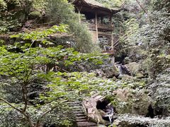 -藏龙百瀑风景区