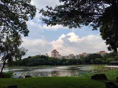 -映月湖公园