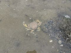 -北海金海湾红树林生态旅游区