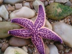 android_upload_pic-烽山林海