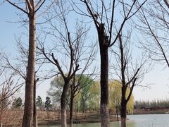-东郊湿地公园