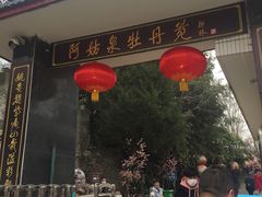 -盛世牡丹苑生态文化旅游区