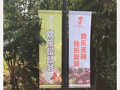 -欢乐松鼠谷