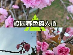 -山东大学(软件园校区)