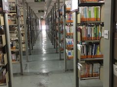 -天津图书馆(复康路馆)