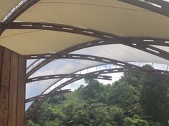 -怀托摩萤火虫洞