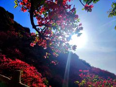 -木兰云雾山
