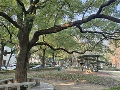 -上海师范大学西部食堂