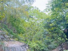-太湖源风景区