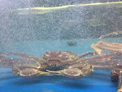 -海神·济州岛海鲜料理(天乐广场店)