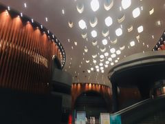 -郑州大剧院