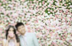 点击看大图 -情订奇缘婚纱摄影(和平路店)