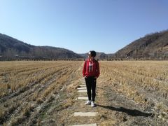 -南泥湾风景区