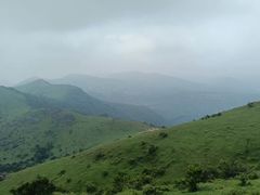 -大姆山草场