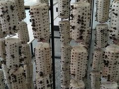 -长春农博园