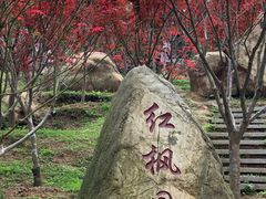 -广州市帽峰山景区