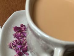 -Uncle Kosto科斯托·中东菜