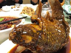挣蹦鲤鱼-奥华餐厅·老张记(台基厂店)