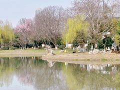 -堤角公园