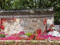 -上海醉白池公园