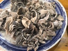 羊散丹-金生隆(六铺炕店)