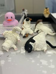 -复旦大学附属妇产科医院(黄浦院区)