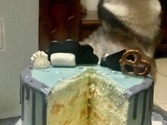 -CarolCake卡萝家(锦华万达店)