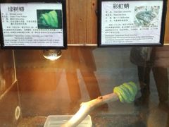 -上海大自然野生昆虫馆(东方明珠·爬宠昆虫探索中心)