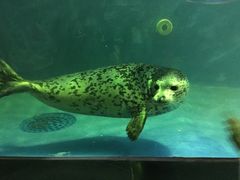 -成都浩海立方海洋公园