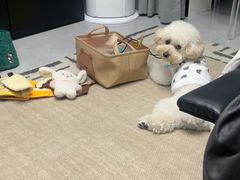 -东方体育中心(地铁站)