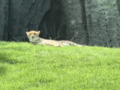 -北京野生动物园