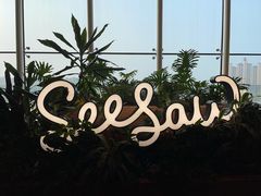 -Seesaw Coffee(朝阳大悦城店)