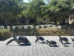 -广东惠东海龟国家级自然保护区