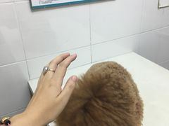 -甄爱宠物医院(疏影路店)