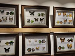 -玉渡山风景区-售票处