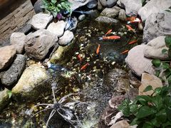 -清真·京华源铜锅涮肉(丰庆店)