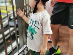 -圣淘沙天际线斜坡滑车