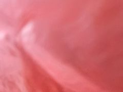 -文儒九号·闽菜馆(三坊七巷店)