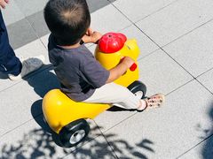-京北渔家傲